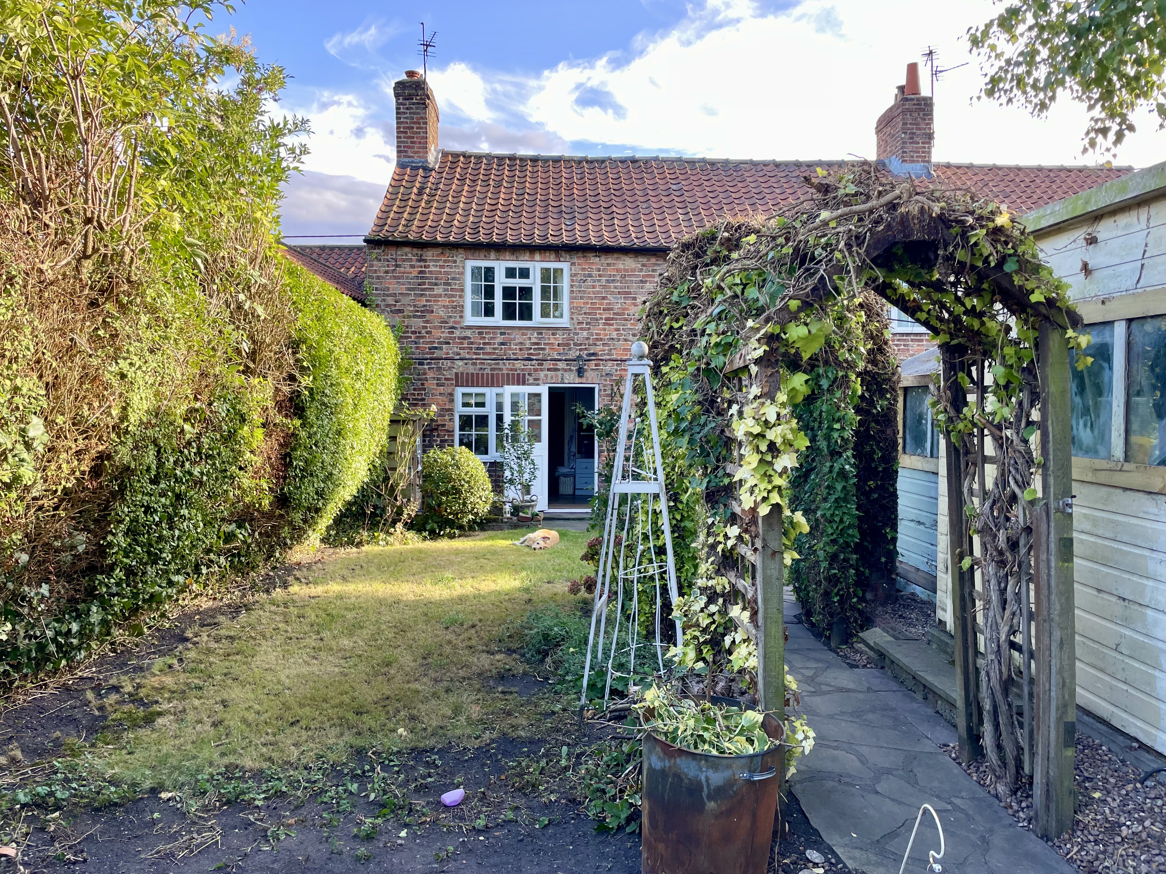 After: Neglected border — cleared and replanted