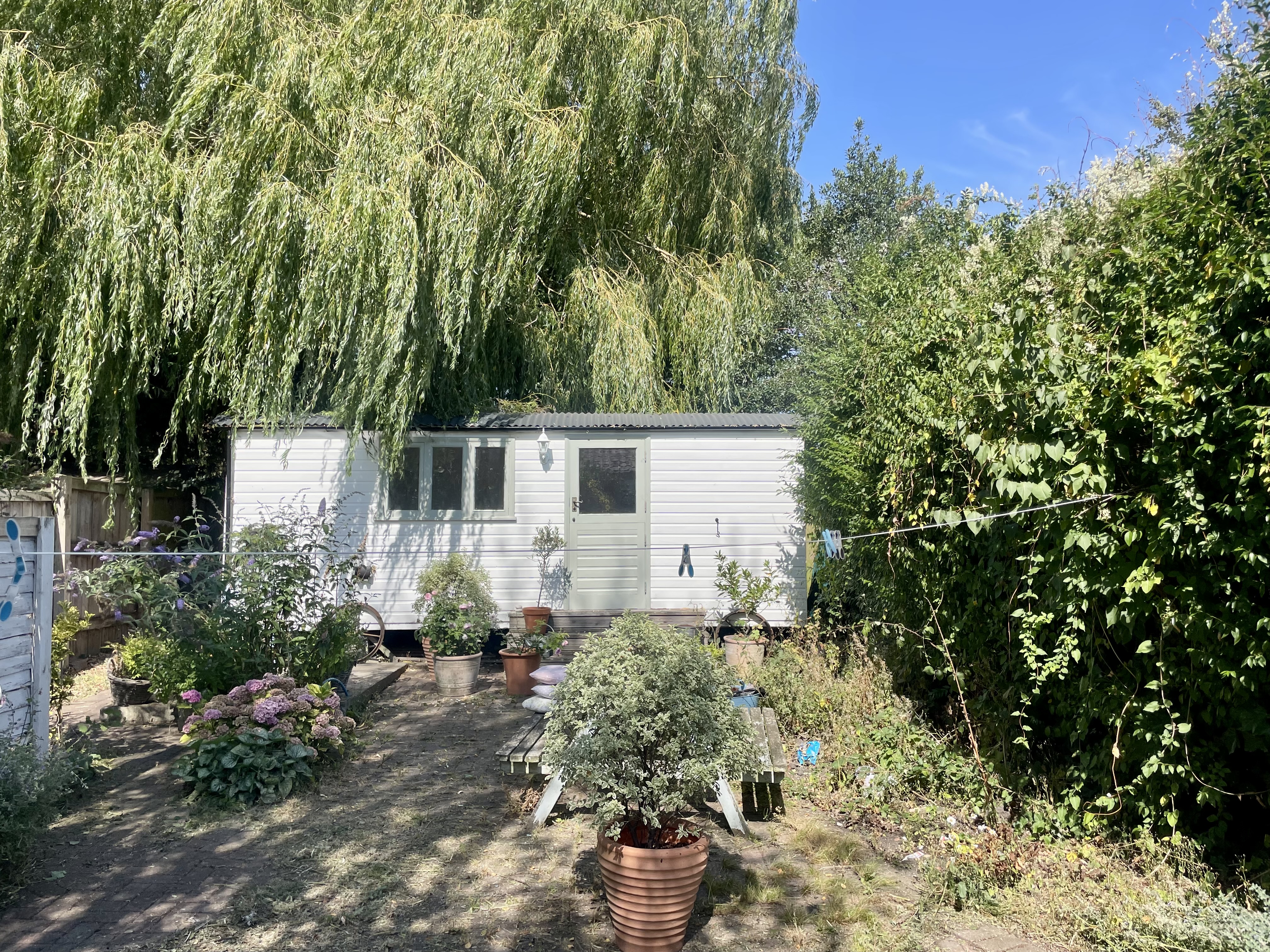 Before: Tired path and edging — reclaimed
