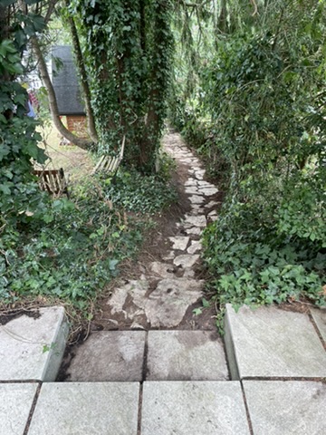 Stone path through the garden