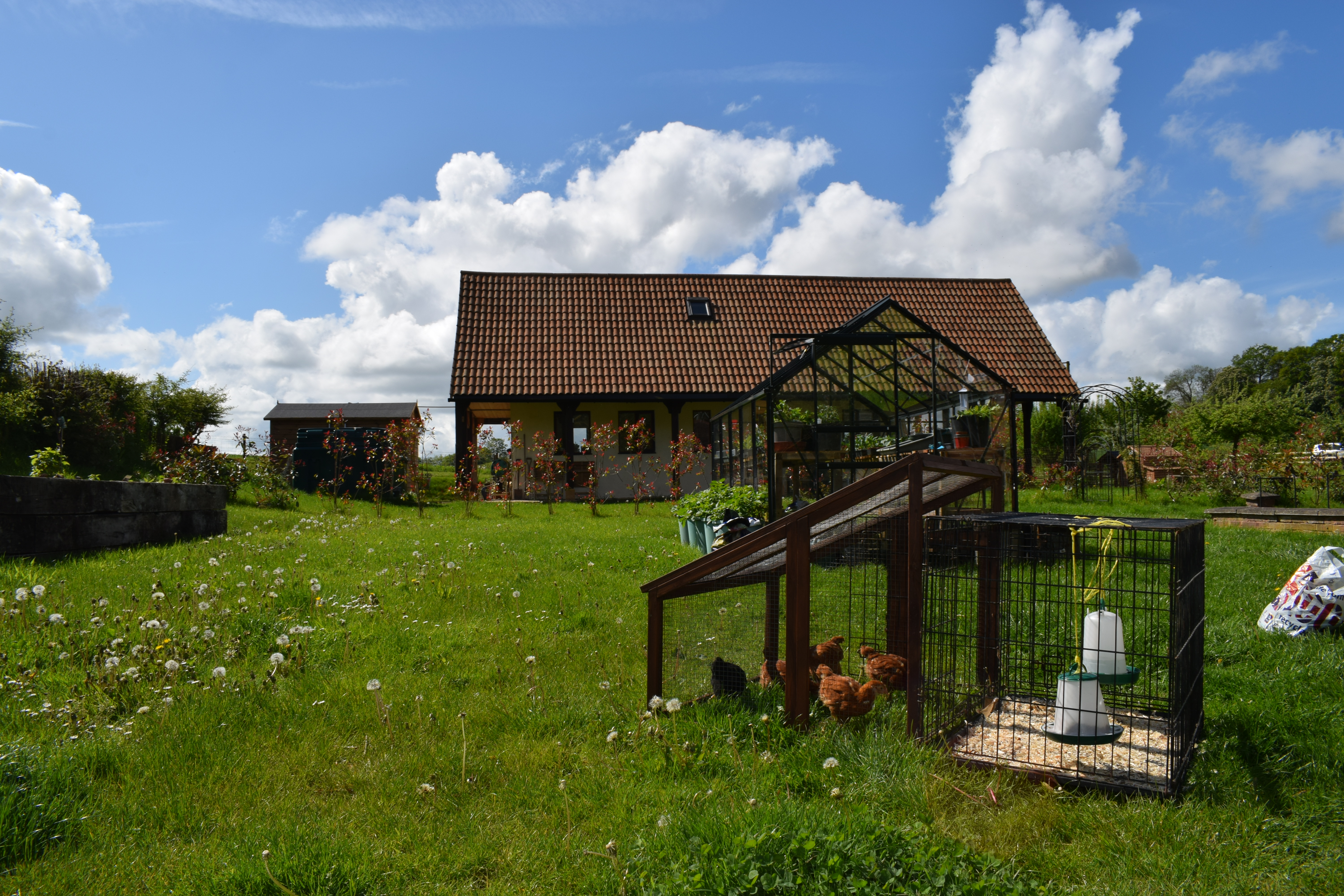 Allotment-style garden — chickens included