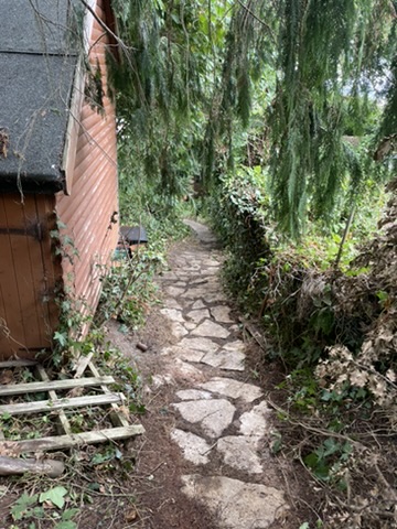 Side path past the shed, after a heavy ivy cut